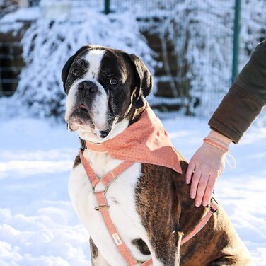 Нашийник для собак Pettsie з банданою та браслетом дружби, регульовані розміри S, M, L, знімний бандана, приваблива упаковка, для любителів собак, зелений (S 25,4-39,4cm, помаранчевий)