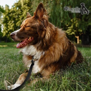 Рулетка для собак середніх та великих (до 50 кг) з відбиваючими смугами, надійний гальмо, поворотний карабін, нейлоновий ремінь, ергономічна ручка, розмір L