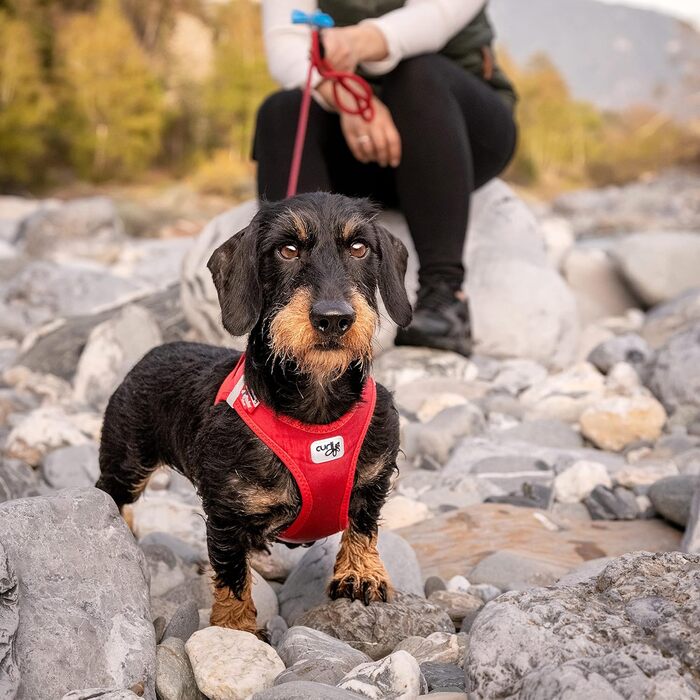 Шлейка для собак Curli Clasp Softshell, червона, розмір 2XS