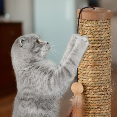Relaxdays Scratching Post with Toys