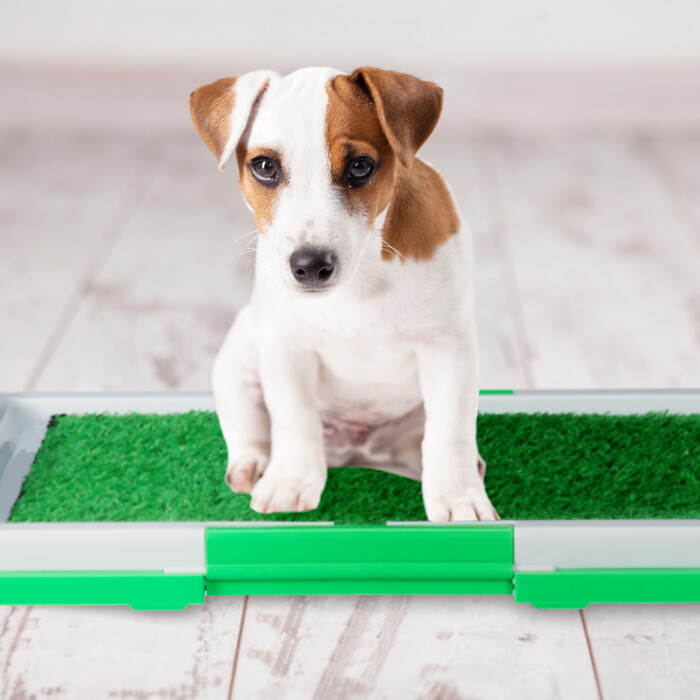 Relaxdays dog toilet with grass