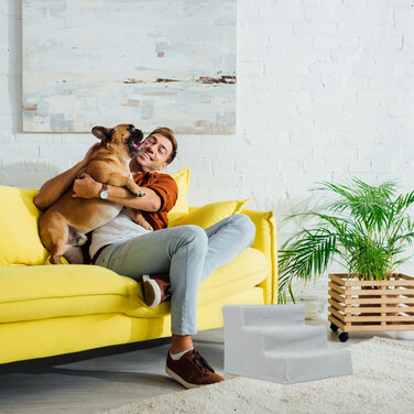 Relaxdays Dog Stairs, 3 Steps
