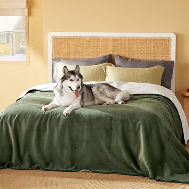 Водонепроникний коврик для собак Lesure, великий (100x120 см), Outdoor, Sherpa Fleece, для дому та вулиці, миючий, XXXXL (274x218 см), оливковий