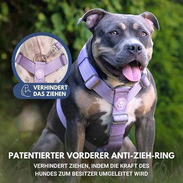 Шлейка для собак Spark Paws No Pull для великих порід, фіолетовий колір, розмір L (16-25 кг), надійна та зручна