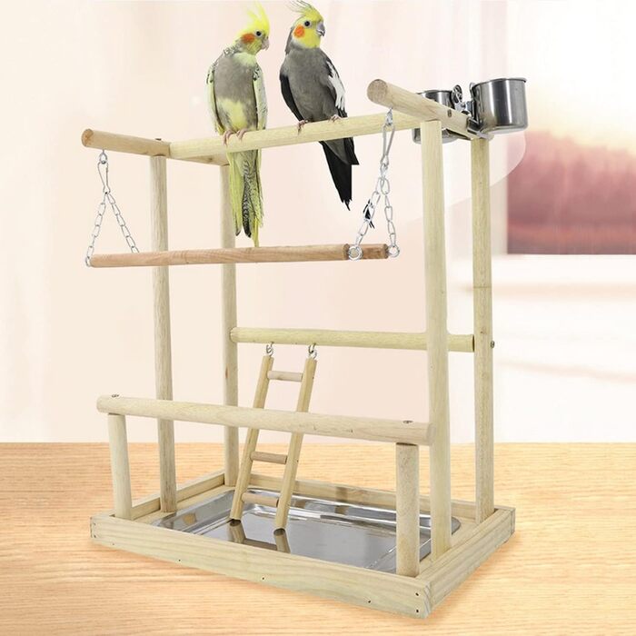 Bird Playground, budgie toys, bird play stand, bird gym, bird accessories, climbing frame with feeder cups, tray, swing for parakeets, canaries, finches, etc. (#8)