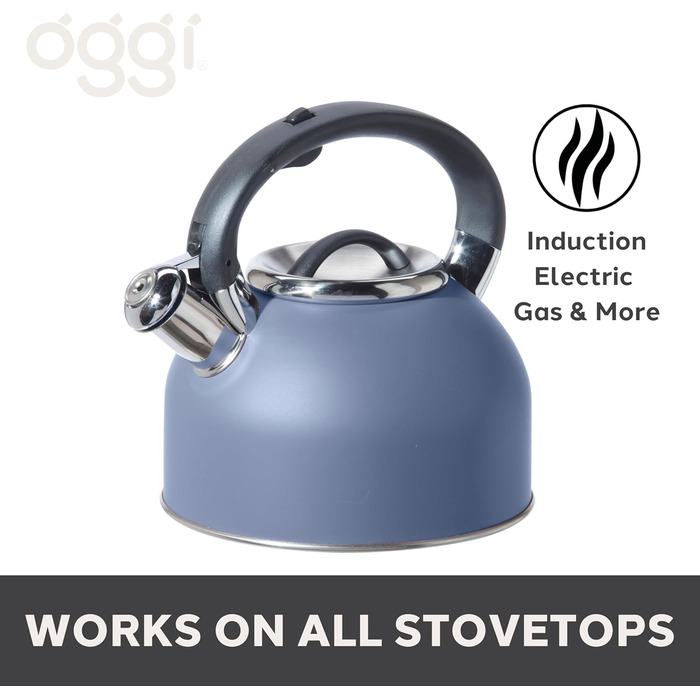 Чайник OGGI з нержавіючої сталі, 1.9 л, з гучною свистком, блакитний