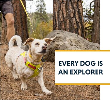 RUFFWEAR Dog Lead Hi & Light, Strong Lead with Integrated Storage Pouch and Secure Crux Clip, Compactly Foldable to Pocket Size, Alpenglow Pink