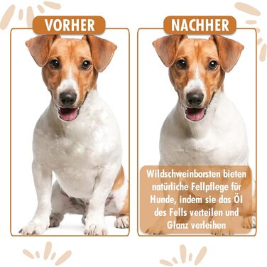 Бурштук для собак та котів 2в1 Bambus: розчісування та вичісування | Підходить для середньої та довгої шерсті | Гребінець для підшерстка + Безкоштовний посібник з догляду