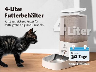 Автоматичний годівниця для котів та собак Molly&Cody Balou (4L, таймер, LED, блокування, подвійне живлення, нержавіюча сталь) + миска