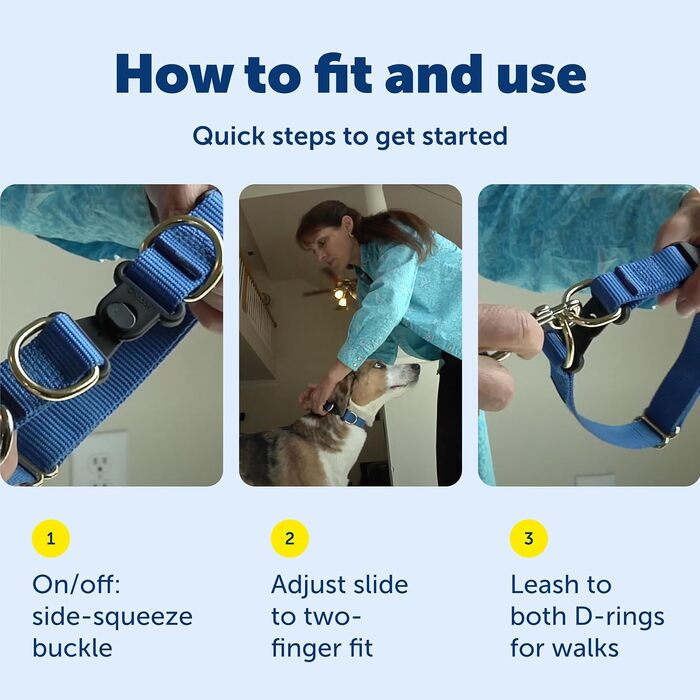 PetSafe KeepSafe надійне зносостійке нашийник для собак червоний Large (2.5 см)