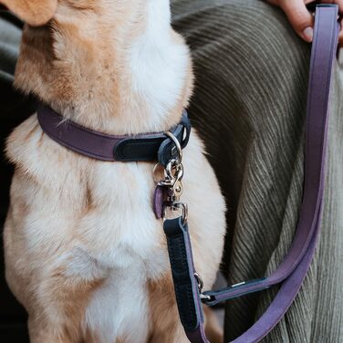 Нашийник для собак HUNTER LEMVIG, шкіряний, фіолетовий/темно-синій, розмір 45, Made in Germany