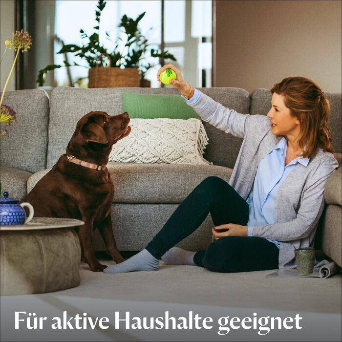 BISSELL ProHeat 2X Revolution: професійний мийник килимів та м'яких меблів з HeatWave технологією, 800W