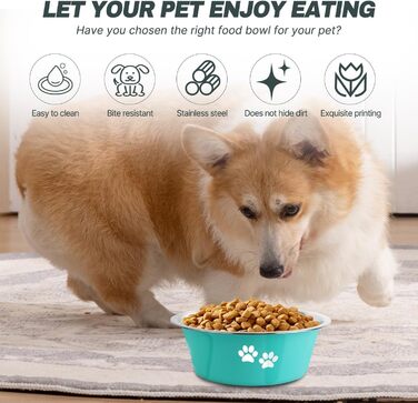 Набори мисок для собак YUDANSI (2 шт.) – зелено-сірі миски з нержавіючої сталі з антиковзною основою для собак середніх та великих порід, Ø 21 см, 1560 мл