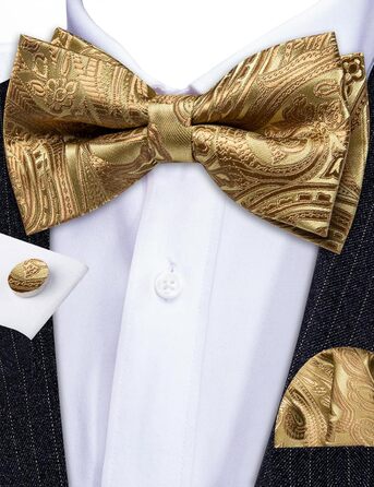 Комплект аксесуарів Barry.Wang для чоловіків: краватка, хустинка, запонки (Paisley, золоті) на весілля та урочисті події