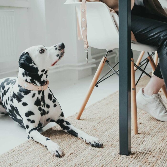 Нашийник для собак HUNTER Swiss з м'якої шкіри, ручної роботи, розмір M-L (60), колір: бежевий/натуральний