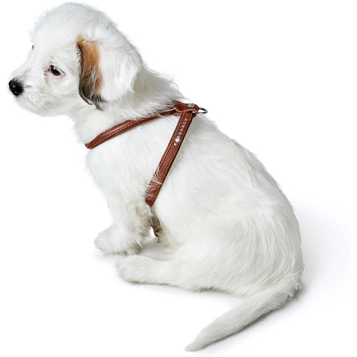 Нашийник для собак HUNTER Round & Soft Canadian UP, колір: Cognac, м'яка, еластична шкіра, прошитий по колу, щадний до хутра, екологічний, Made in Germany, розмір: S/1 S/1 cognac