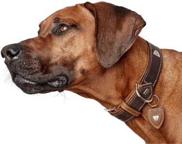 Нашийник для собак Hunter Tara, шкіряний, юхтеншпілер, міцний, стійкий до погодних умов, розмір M, темно-коричневий/cognac