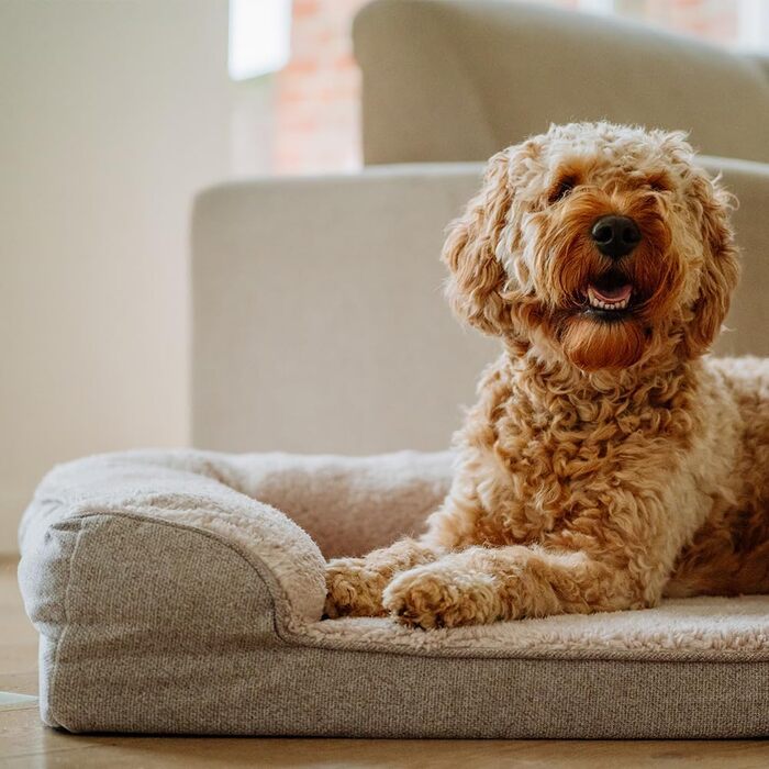 Ортопедичний кутовий диван Nobby 61725 CALBU бежевий; 80 x 52 x 18 см