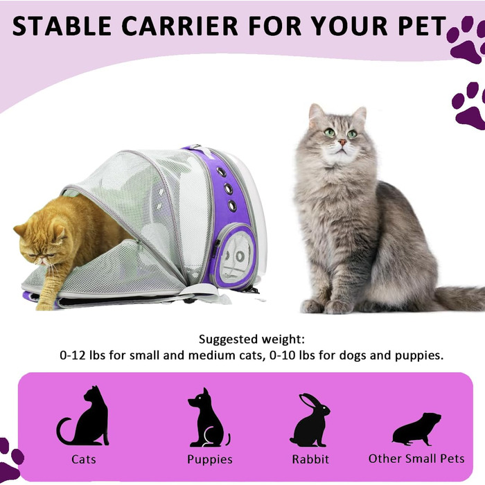 Розширюваний рюкзак для котів та маленьких собак, переноска-рюкзак з прозорим вікном, для подорожей та прогулянок (фіолетовий)