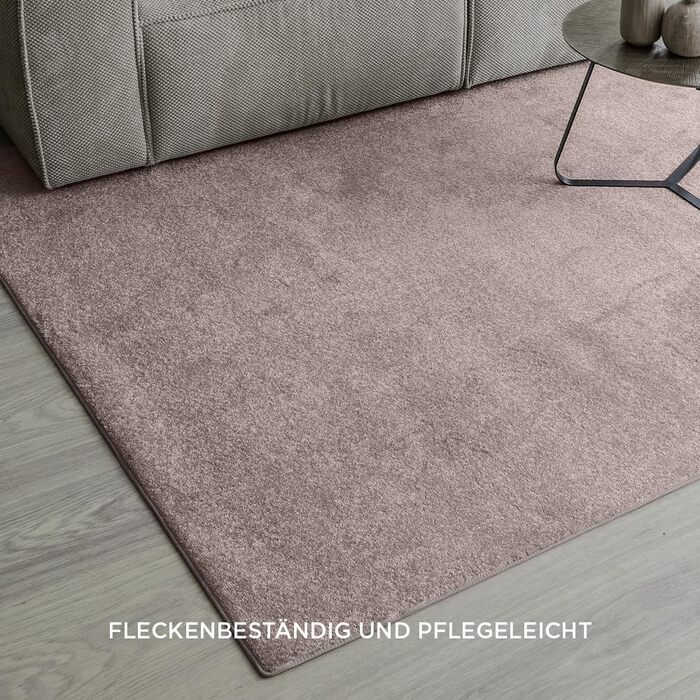 Килим для вітальні та спальні Carpet Studio Maine, 140x200 см, короткий ворс, рожевий