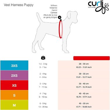Шлейка для собак Air-Mesh блакитна з коламі, розмір M & поводок L блакитний з коламі