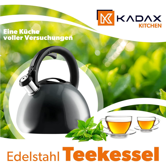 Чайник KADAX з нержавіючої сталі, 3л, з свистком, ретро дизайн, різні кольори, ефект Ombre, (Блакитний/Сірий)