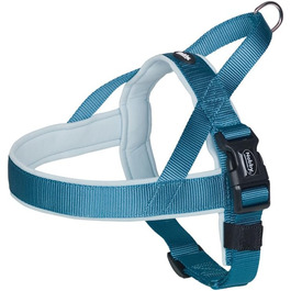 колір: блакитний/блакитний