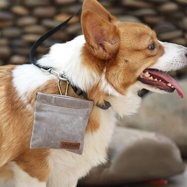 Фрі-лідер сумка для ласощів для собак з автоматичним закриттям, маленька сумка для корму для дресирування собак, сумка для цуценят з карабіном