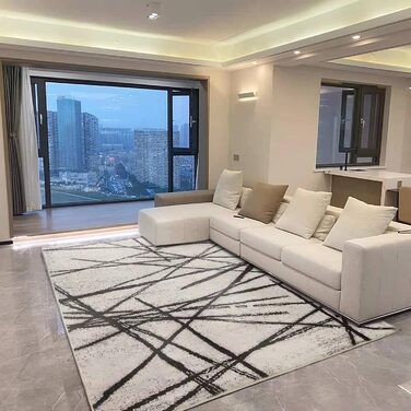 Leesentec Rugs Living Room Modern Artistic Rug Unique Rugs Chic Vintage Distressed Oriental Rugs Area Rug (Beige, 200x300cm) Beige 200x300cm
