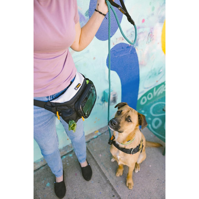 Сумка OllyDog Trailblazer для собак | Легка поясна сумка для ласощів та відходів | З кулькою, водовідштовхувальна | Для прогулянок та тренувань