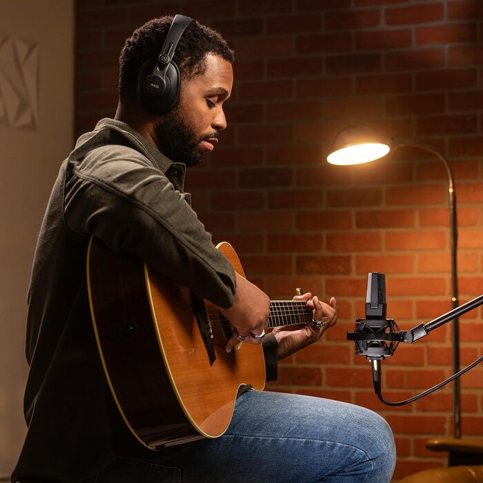 Мікрофон конденсаторний AKG C114 (великої мембрани, кардіоїдний, багатодіафрагмовий) для контент-мейкерів та музикантів