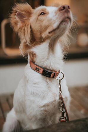 Нашийник для собак HUNTER Neopren Vario Plus, нейлон, неопрен, регульований, з поглинанням ударів, комфортний, розмір L/2,5