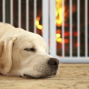 Захисне ворота Relaxdays для собак, 92x154 см, 3 елементи, біле, розкладне