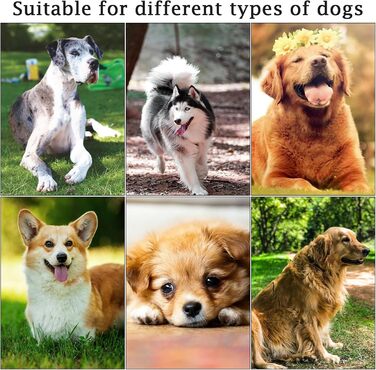 Висувна поводок для собак, 5 м, тренувальний поводок з міцної нейлонової стрічки, стопор з блокуванням та паузою, замок для собак маленьких та середніх порід (Рожевий)