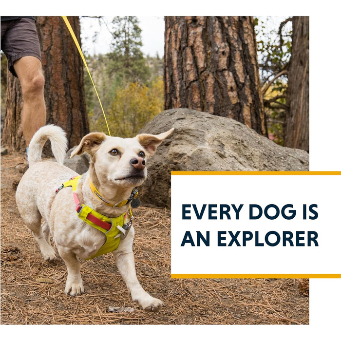 RUFFWEAR Dog Lead Hi & Light, Strong Lead with Integrated Storage Pouch and Secure Crux Clip, Compactly Foldable to Pocket Size, Alpenglow Pink