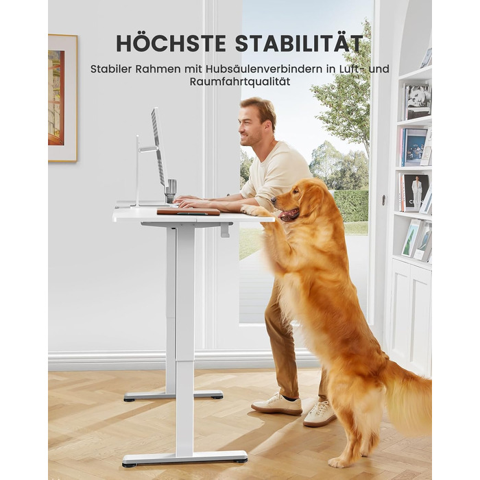 ErGear Electric Standing Desk - 100x60cm - Height Adjustable Desk with Memory Function for Home Office & Connection Plate
