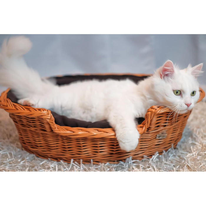 Wicker Dog Basket for Dog and Cat, Dog Bed, Cat Bed with Cushion, Pet Basket, Woven Cat Basket, 60x43 x H19 cm