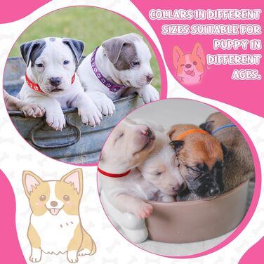 Набір повідків та нашийників для собак JieyueJewelry (36 шт.) з швидкою застібкою, регульовані, з принтом лапки, нейлон, для цуценят та маленьких собак