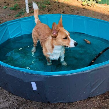 Navaris Dog Pool Splash Pool Foldable - Dog Pool made of Plastic - Agility Dog Toy - Dog Swimming Pool - Grey Petrol - Various Sizes