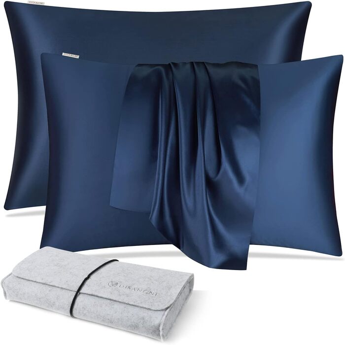 DISANGNI 100% Natural Mulberry Silk Pillowcase for Hair and Skin, Hidden Zipper Closure, 22 Momme, Both Sides, Real Silk, 1 Piece (Blue, 2 Pack, Standard Size 50.8 x 66 cm)
