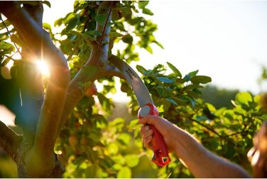 Садова пила Wolf Garten PowerCut SAW 370 multi-star для обрізки гілок, 37 см