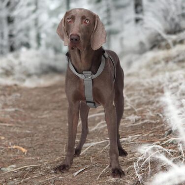 Шлейка для собак FEimaX для великих собак, тактична, не тягне, дихаюча, комфортна, сіра, міцна
