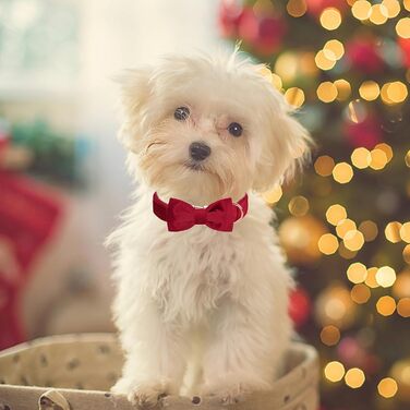 Нашийник для собак Aring з бантиком, регульований, м'який, темно-зелений (S, червоний), подарунок для дівчаток та хлопчиків