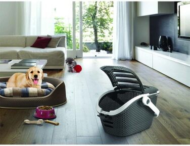 Транспортний бокс Curver Transportbox L (51x38x33 см) антрацит/темно-коричневий