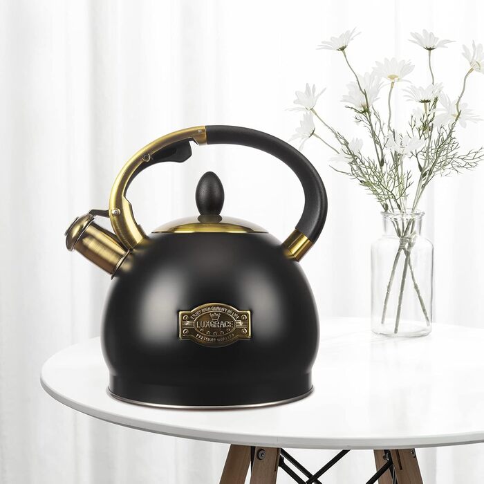 Чайник для заварювання чаю, класичний чайник з нержавіючої сталі, чайник з холодною ручкою для плити, 3 л (Чорний)