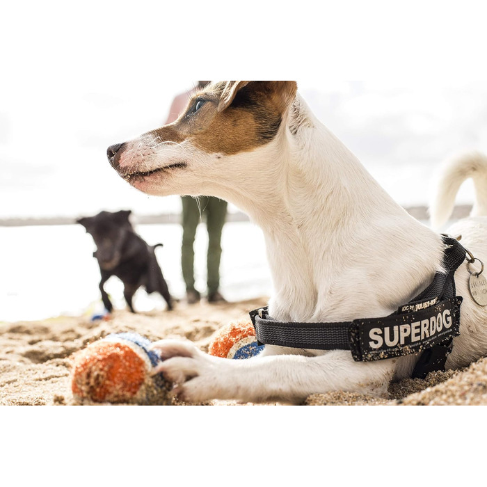 Шлейка Julius-K9 IDC® Color & Gray® чорно-сіра S / Mini