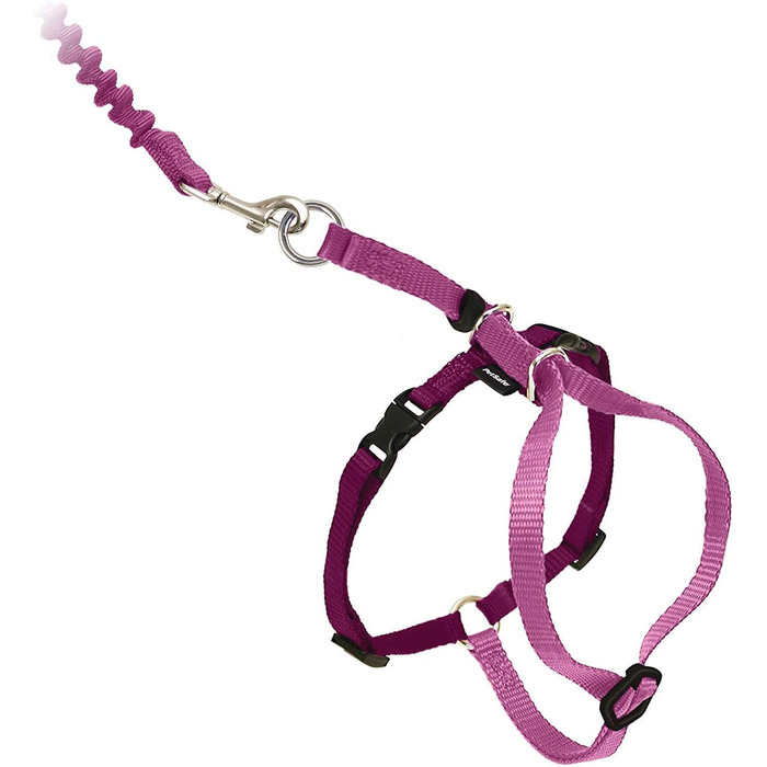 PetSafe Come with Me Kitty Harness and Bungee Leash, Harness for Cats, Size M, Red/Cranberry, Model: CWMK-M-RED (Light Pink/Burgundy, Large (Pack of 1))