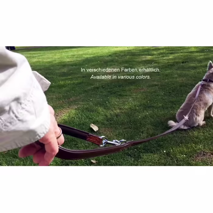 Leather Dog Lead - Training Lead - Leather Lead for Dog - Lead 3-Way Adjustable, for all Dogs (230cm, Beige)
