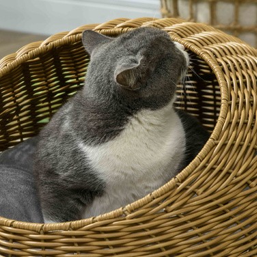 PawHut Rattan Cat Basket Cat House with Cushion for Cats up to 4 kg, Indoor Cat Cave made of PE Rattan, Ø50 x 31 cm, light brown for cozy retreats