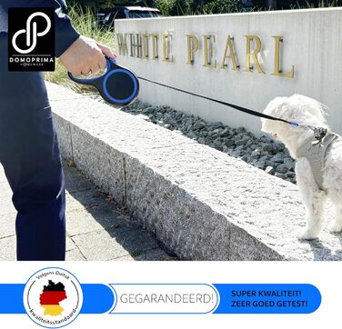 Нашийник для собак DOMOPRIMA: міцний, безпечний, 3 розміри (S, M), 4 кольори (сірий, блакитний, зелений, рожевий)